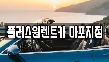 서울 용산구 신창동 렌트카 전문 플러스원렌트카 마포지점