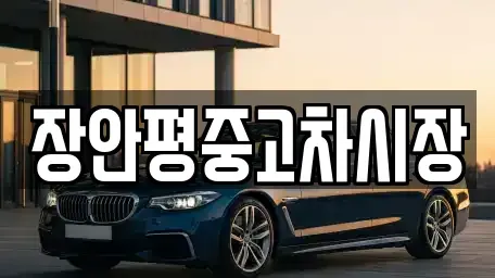 서울 용산구 신창동 중고차 전문 장안평중고차시장