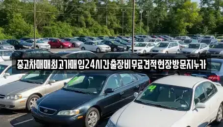 서울 용산구 신창동 중고차매매 전문 중고차매매최고가매입24시간출장비무료견적현장방문지누카