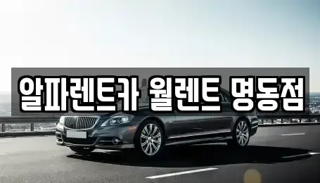 서울 종로구 관수동 렌트카 전문 알파렌트카 월렌트 명동점