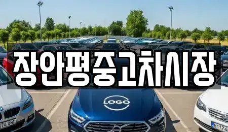 서울 종로구 관수동 중고차 전문 장안평중고차시장