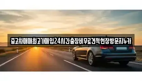 서울 종로구 관수동 중고차 전문 중고차매매최고가매입24시간출장비무료견적현장방문지누카