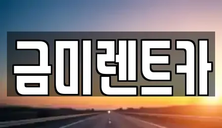 서울 종로구 세종로 렌트카 전문 금미렌트카