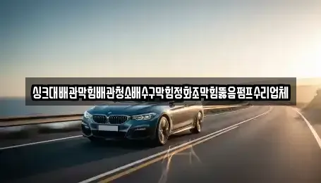 서울 종로구 세종로 중고차 전문 싱크대배관막힘배관청소배수구막힘정화조막힘뚫음펌프수리업체