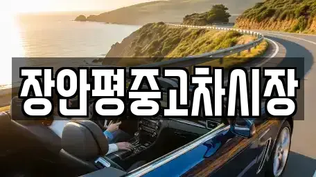 서울 종로구 세종로 중고차매매 전문 장안평중고차시장