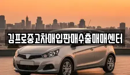 서울 종로구 세종로 중고차매입 전문 김프로중고차매입판매수출매매센터