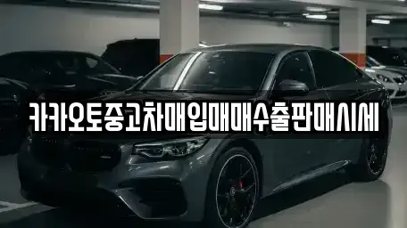 서울 종로구 세종로 중고차매입 전문 카카오토중고차매입매매수출판매시세