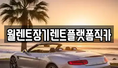 서울 종로구 체부동 렌트카 전문 월렌트장기렌트플랫폼직카