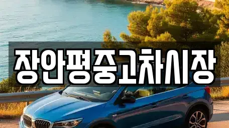 서울 종로구 체부동 중고차 전문 장안평중고차시장