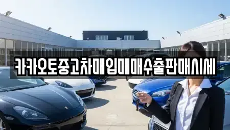 서울 종로구 체부동 중고차 전문 카카오토중고차매입매매수출판매시세