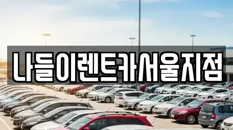 서울 종로구 충신동 렌트카 전문 나들이렌트카서울지점