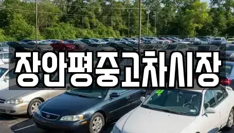 서울 종로구 충신동 중고차 전문 장안평중고차시장