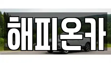 서울 종로구 충신동 중고차 전문 해피온카