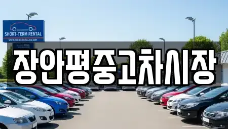 서울 중구 남대문로5가 중고차매매 전문 장안평중고차시장