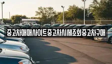 서울 중구 남대문로5가 중고차매매 전문 중고차매매사이트중고차시세조회중고차구매