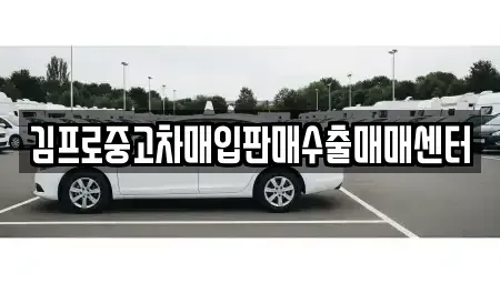 서울 중구 남대문로5가 중고차매입 전문 김프로중고차매입판매수출매매센터