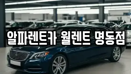 서울 중구 저동2가 렌트카 전문 알파렌트카 월렌트 명동점