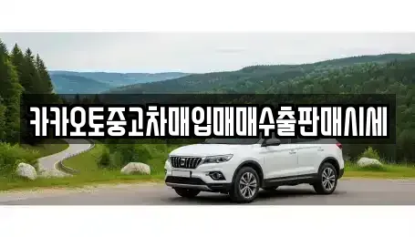 서울 중구 저동2가 중고차매입 전문 카카오토중고차매입매매수출판매시세