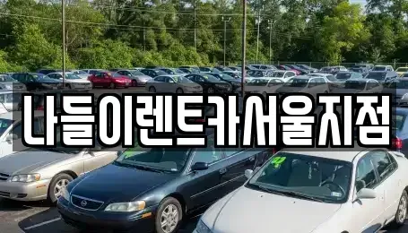서울특별시 강남구 수서동 렌트카 전문 나들이렌트카서울지점