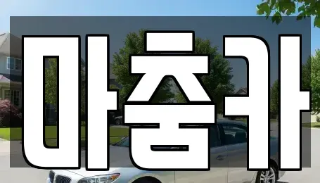 서울특별시 강남구 수서동 렌트카 전문 마춤카