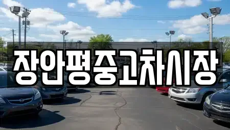 서울특별시 강동구 길동 중고차 전문 장안평중고차시장