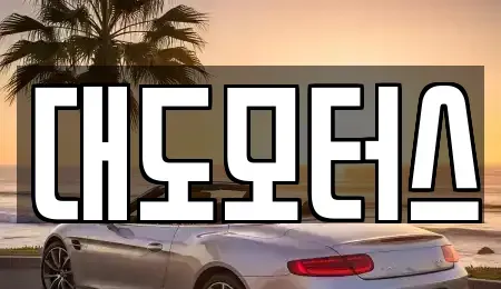 서울특별시 강동구 중고차매매 전문 대도모터스