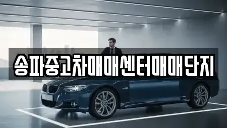 서울특별시 강동구 중고차매매 전문 송파중고차매매센터매매단지