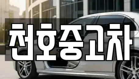 서울특별시 강동구 중고차매매 전문 천호중고차