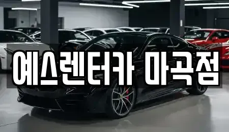 서울특별시 강서구 공항동 단기렌트카 전문 예스렌터카 마곡점