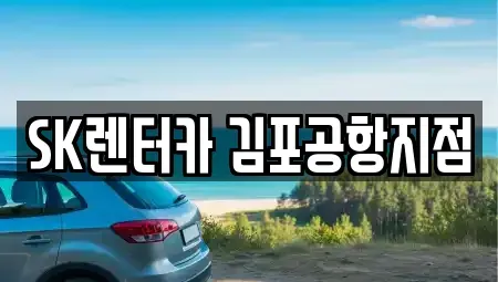 서울특별시 강서구 공항동 렌트카 전문 SK렌터카 김포공항지점
