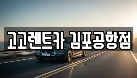 서울특별시 강서구 공항동 렌트카 전문 고고렌트카 김포공항점