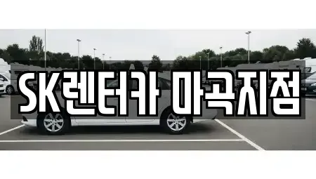 서울특별시 강서구 공항동 장기렌트카 전문 SK렌터카 마곡지점
