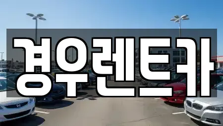 서울특별시 강서구 공항동 장기렌트카 전문 경우렌트카