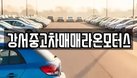 서울특별시 강서구 공항동 중고차매매 전문 강서중고차매매라온모터스