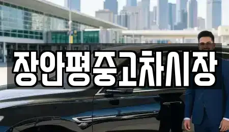 서울특별시 강서구 공항동 중고차매매 전문 장안평중고차시장