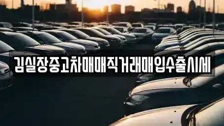 서울특별시 강서구 공항동 중고차매입 전문 김실장중고차매매직거래매입수출시세