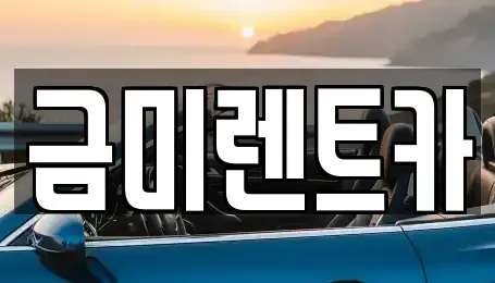 서울특별시 구로구 신도림동 단기렌트카 전문 금미렌트카