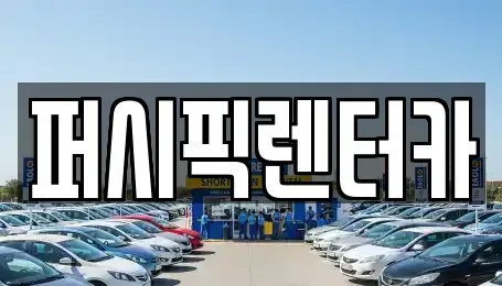 서울특별시 마포구 용강동 장기렌트카 전문 퍼시픽렌터카