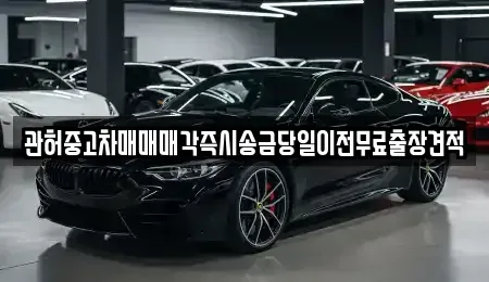 서울특별시 마포구 용강동 중고차매매 전문 관허중고차매매매각즉시송금당일이전무료출장견적