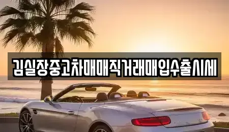 서울특별시 마포구 용강동 중고차매매 전문 김실장중고차매매직거래매입수출시세