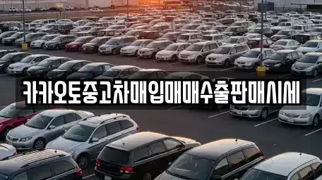 서울특별시 마포구 용강동 중고차매매 전문 카카오토중고차매입매매수출판매시세
