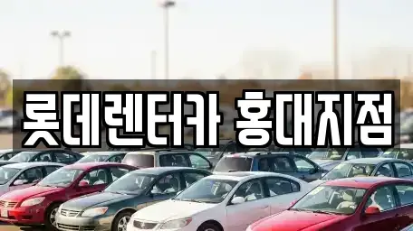 서울특별시 마포구 하중동 단기렌트카 전문 롯데렌터카 홍대지점