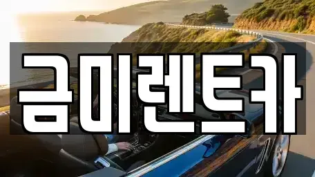 서울특별시 마포구 하중동 렌트카 전문 금미렌트카
