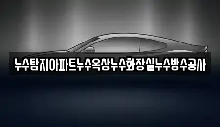 서울특별시 마포구 하중동 중고차매입 전문 누수탐지아파트누수옥상누수화장실누수방수공사