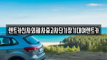 서울특별시 서대문구 현저동 장기렌트카 전문 렌트카신차외제차중고차단기장기대여렌트카
