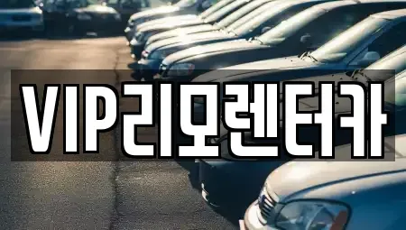 서울특별시 성동구 금호동3가 단기렌트카 전문 VIP리모렌터카