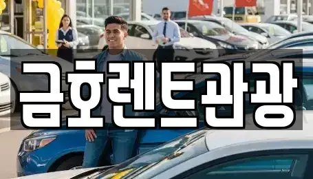 서울특별시 성동구 금호동3가 렌트카 전문 금호렌트관광