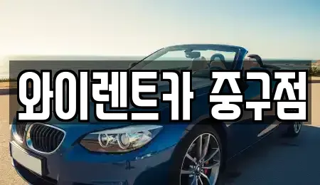 서울특별시 성동구 금호동3가 렌트카 전문 와이렌트카 중구점