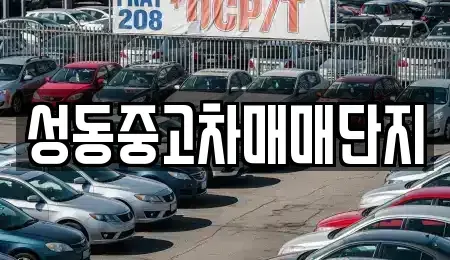 서울특별시 성동구 금호동4가 중고차 전문 성동중고차매매단지