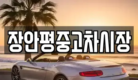 서울특별시 성동구 금호동4가 중고차 전문 장안평중고차시장